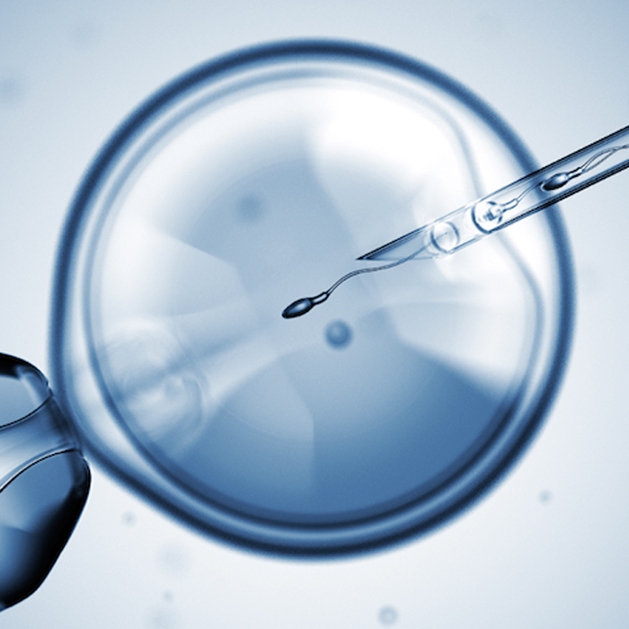 Jaipur Health Care & Test Tube Baby Centre
