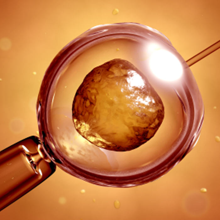 Jaipur Health Care & Test Tube Baby Centre