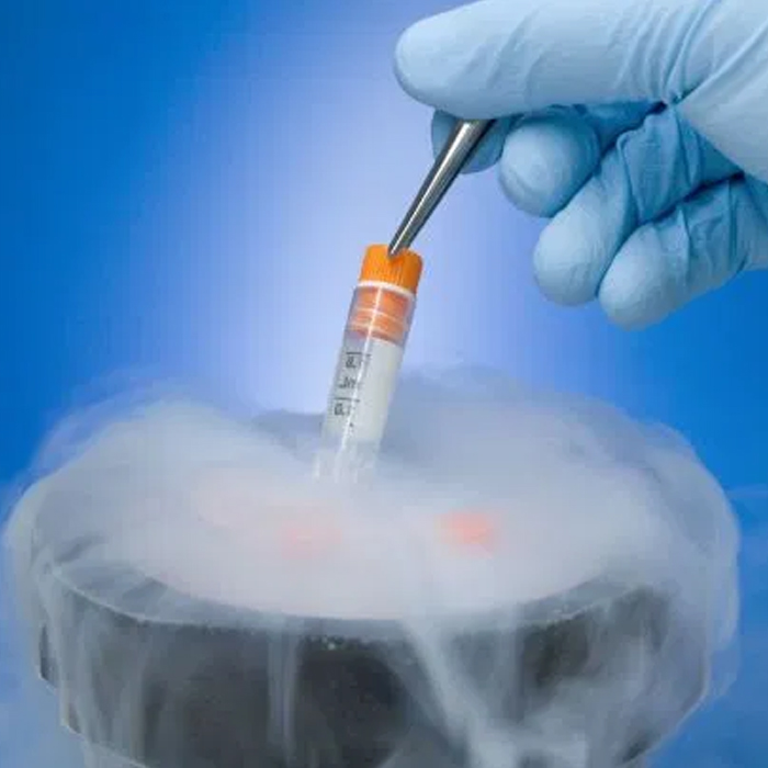 Jaipur Health Care & Test Tube Baby Centre