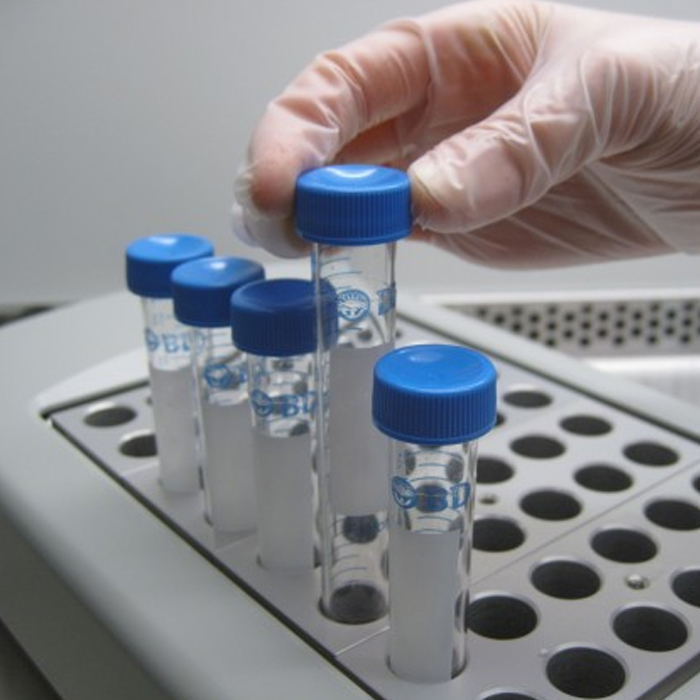 Jaipur Health Care & Test Tube Baby Centre