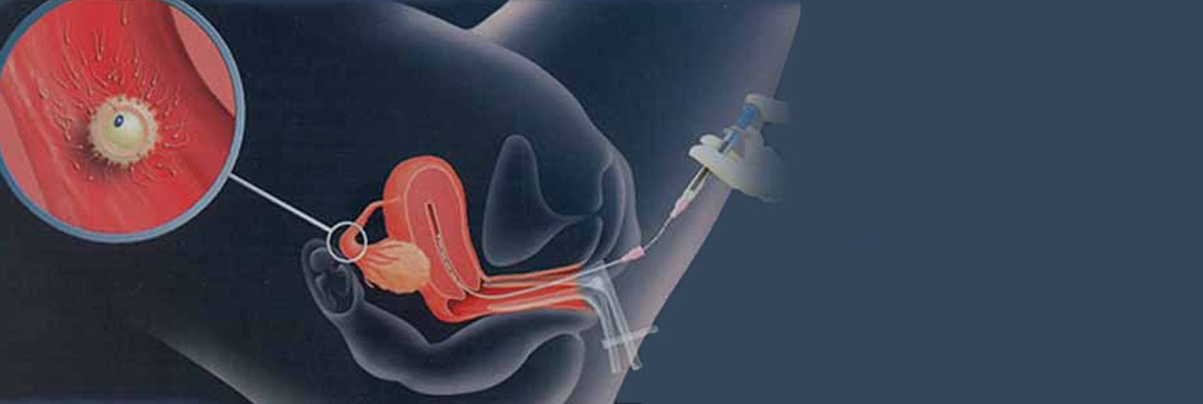 Jaipur Health Care & Test Tube Baby Centre